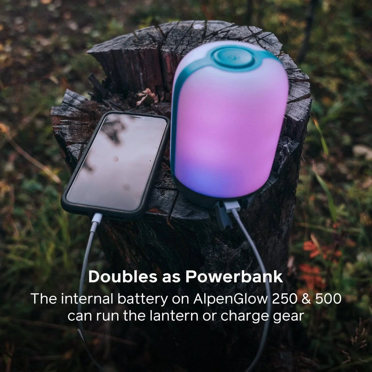 AlpenGlow Family Pack - Image 7