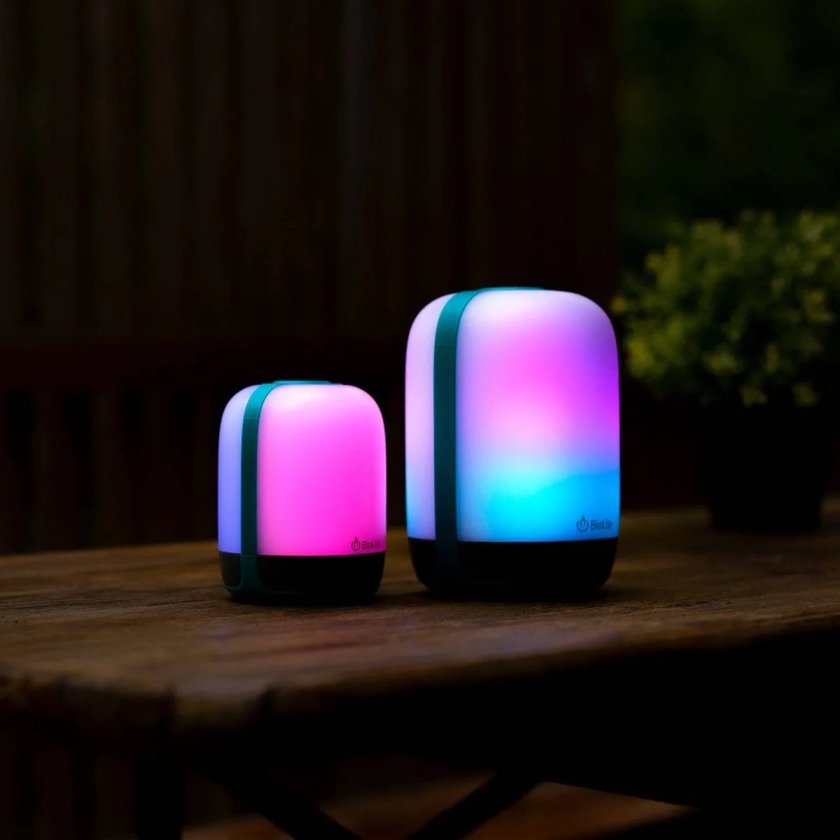 AlpenGlow Multipack - Image 3