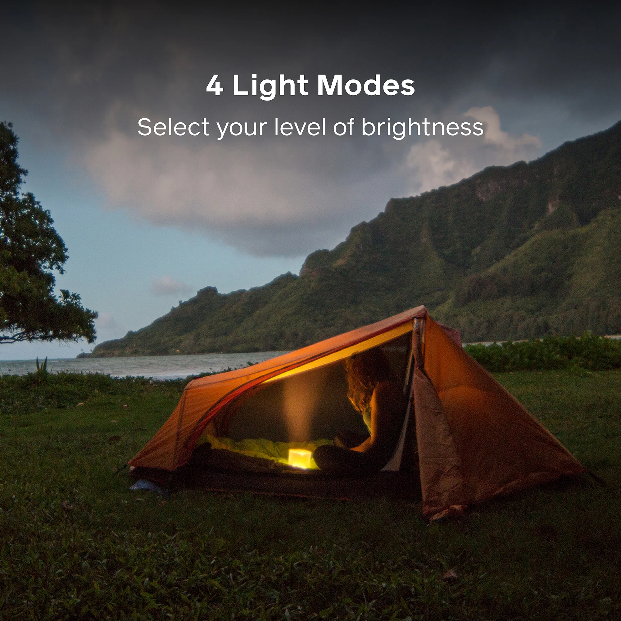 Luci Original Matte - Image 8