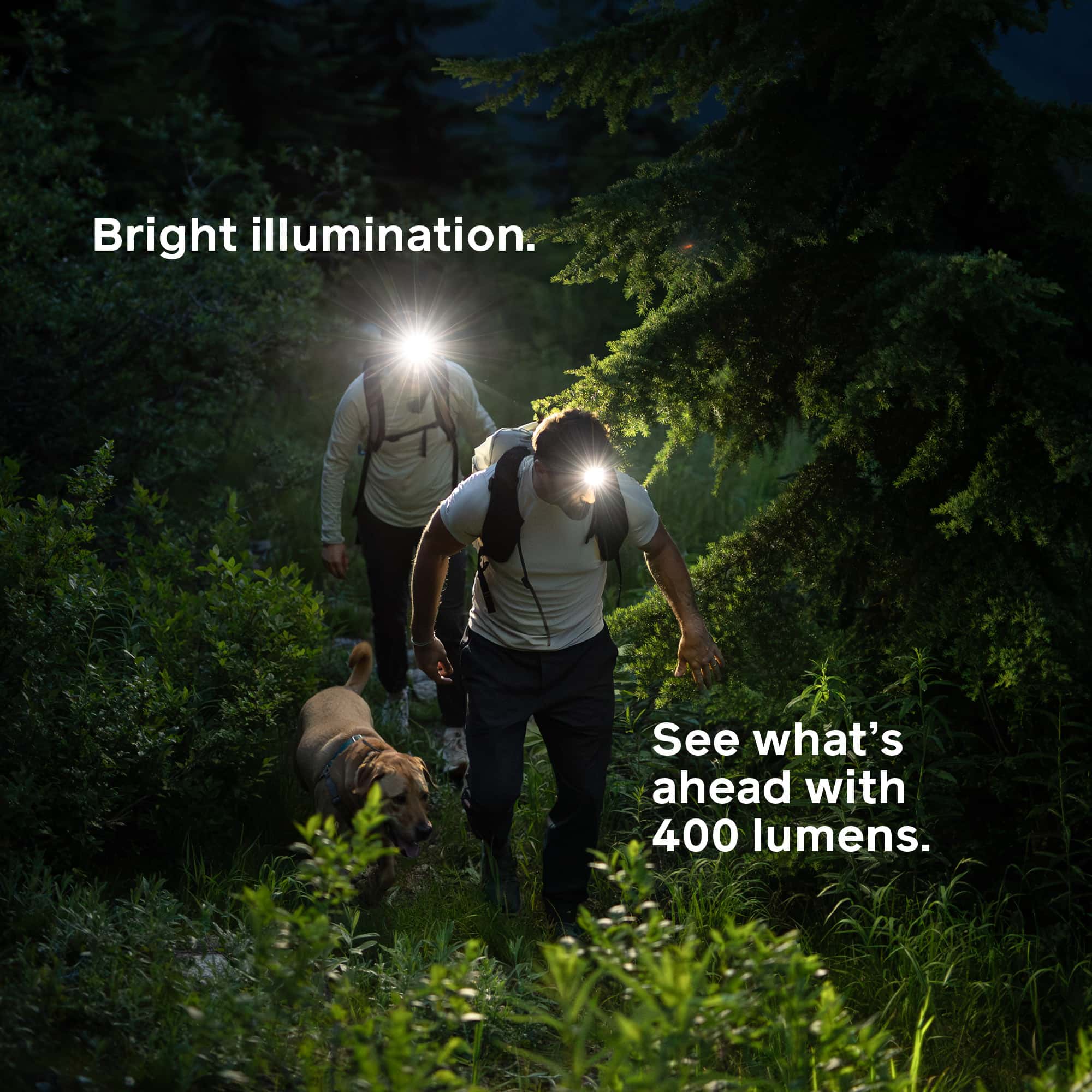 Range 400 - Image 4